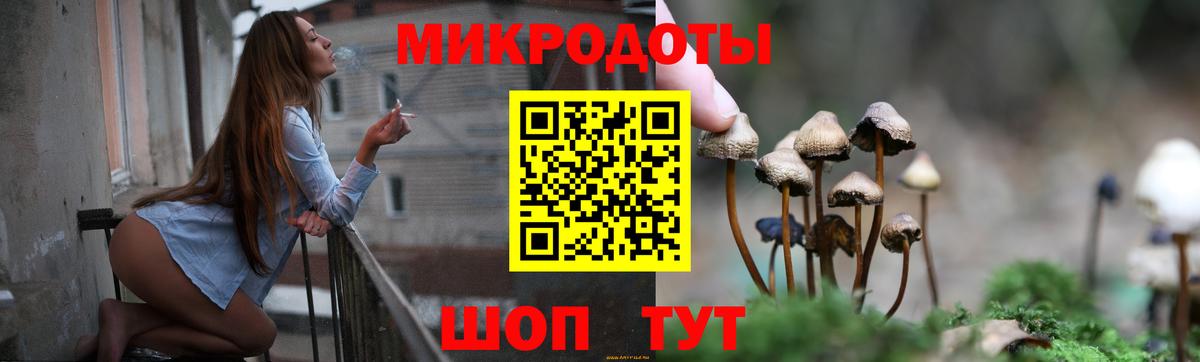 Псилоцибиновые грибы прущие грибы Кунгур